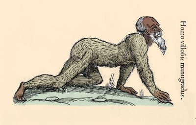 Créature monstrueuse : un homme velu marchant à quatre pattes. Planche d