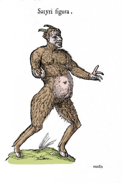 Représentation d