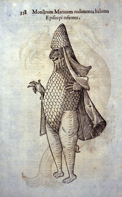 Le poisson évêque, poisson imaginaire et monstre marin par Ulisse Aldrovandi, « Monstrorum Historiae », Bologne 1642 - Ulisse Aldrovandi