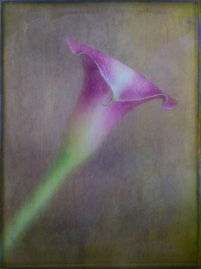  - Ulrike Eisenmann