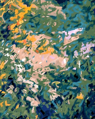 Un jardin aux couleurs chatoyantes - Uma Gokhale