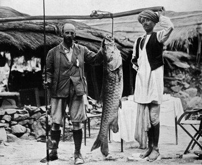 Mahseer de 59 lb, capturé par le capitaine H. B. D. Campbell, R.E., dans le Haut Gange, vers 1903 - Unbekannt