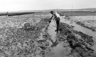 Ostréiculteur en Vendée, août 1974 - Unbekannt