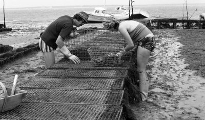 Ostréiculteur en Vendée, août 1974 - Unbekannt