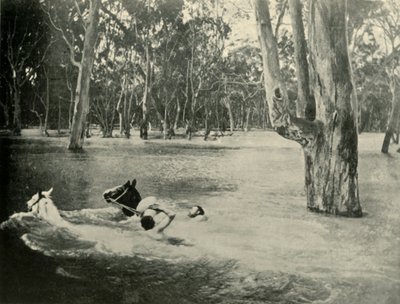 Un banquier, 1901 - Unbekannt