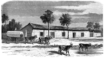 Une ferme boer, Afrique du Sud, vers 1890 - Unbekannt