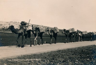 Caravane de chameaux en route pour Damas, 1936 - Unbekannt
