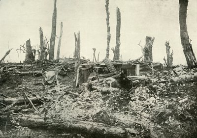Un abri dans ce qui était autrefois un bois sylvestre, 1919 - Unbekannt