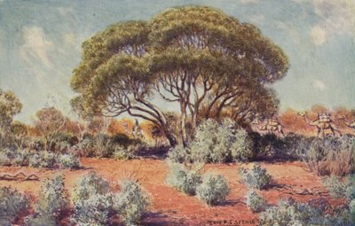 Un endroit fertile en Australie centrale, 1923 - Unbekannt