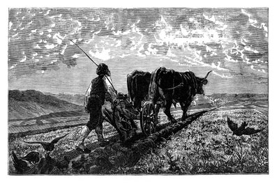 Un agriculteur français, vers 1890 - Unbekannt