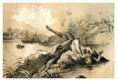 Un incident effrayant, 1883 - Unbekannt