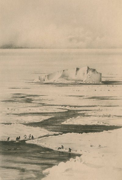 Un meneur dans la meute, vers 1910-1913, 1913 - Unbekannt