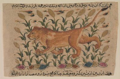 Un lion, Folio d