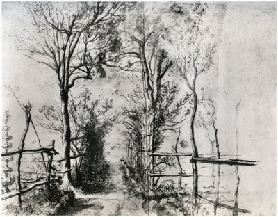 Un chemin bordé d