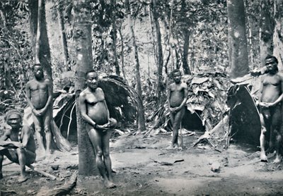 Un village pygmée, bassin du Congo nord-est, 1912 - Unbekannt