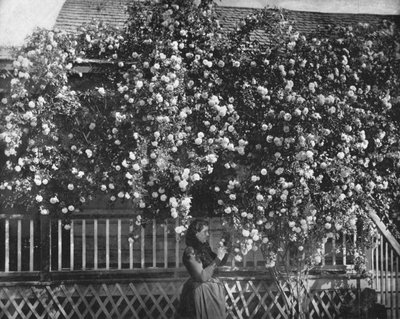Une maison décorée de roses, Californie du Sud, USA - Unbekannt