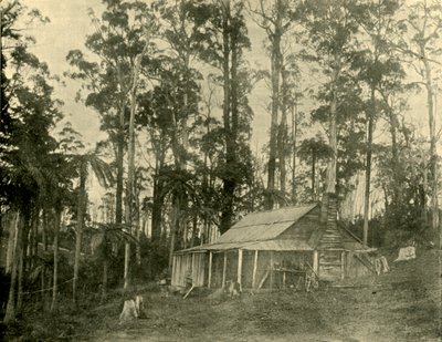 Une demeure rustique, 1901 - Unbekannt