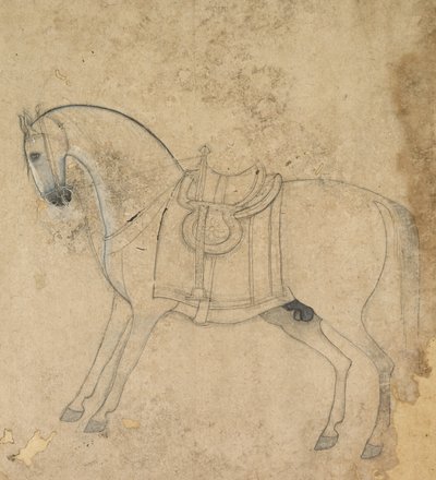 Un cheval sellé, vers 1750 - Unbekannt