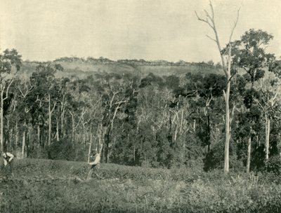 Ferme de montagne victorienne - Unbekannt