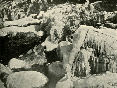 Scène d