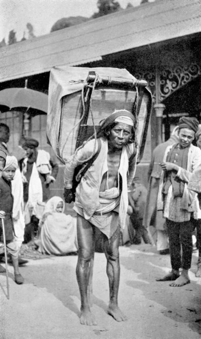 Un travailleur portant du thé, Darjeeling, Bengale-Occidental, Inde, c1910 - Unbekannt