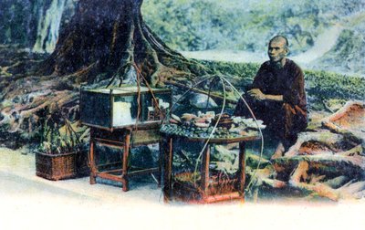 Un homme vendant des fruits sous un arbre, Hong Kong, Chine - Unbekannt