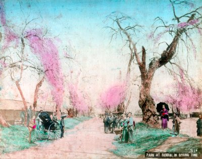 Un parc au printemps, Sendai, Préfecture de Miyagi, Japon - Unbekannt