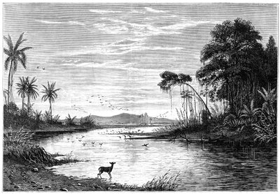 Scène de rivière au Venezuela, 1877 - Unbekannt
