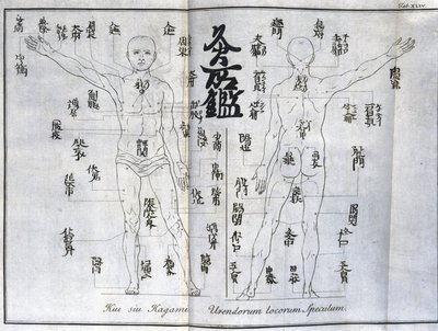 Acupuncture : carte du corps humain indiquant les points de moxibustion, Japon (c. 1690) - Unbekannt