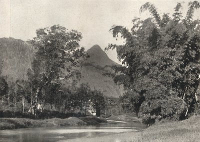 Adamspik von Gegend Maskeliya, 1926 - Unbekannt