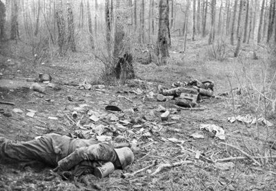 Après les combats dans le parc de Plessis-de-Roye, Picardie, France, 30 mars 1918 - Unbekannt