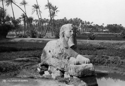 Sphinx en albâtre à Memphis, Égypte, années 1920-1930 - Unbekannt