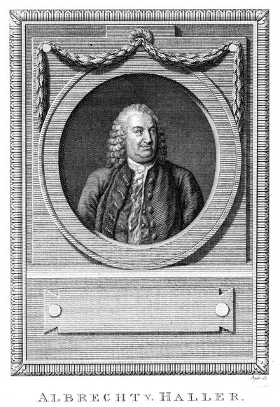 Albrecht von Haller, médecin et scientifique suisse, vers 1770-1780 - Unbekannt