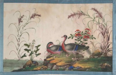 Album contenant douze peintures d
