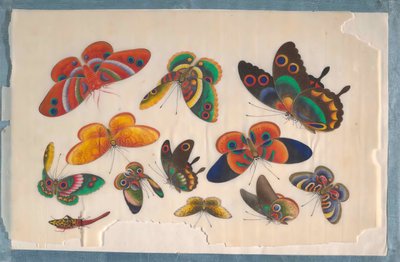 Album contenant douze peintures d
