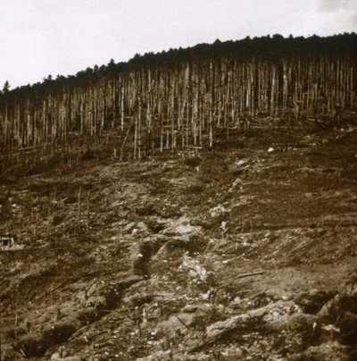 Alsace, vers 1914-1918 - Unbekannt