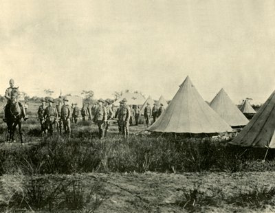 Corps d