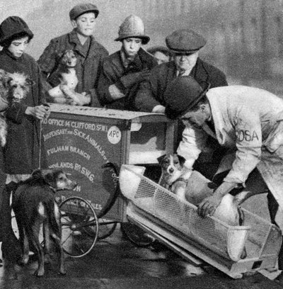 Ambulance du Dispensaire pour Animaux Malades des Pauvres, Londres, 1926-1927 - Unbekannt