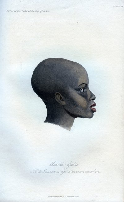 Amochi Galla, un portrait d