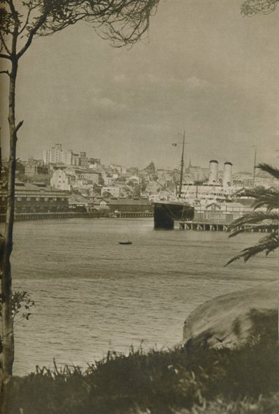 Un paquebot oriental amarré dans la baie de Woolloomooloo, 1937 - Unbekannt