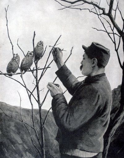 Une décoration de tranchée originale, France, Première Guerre mondiale, 1915 - Unbekannt