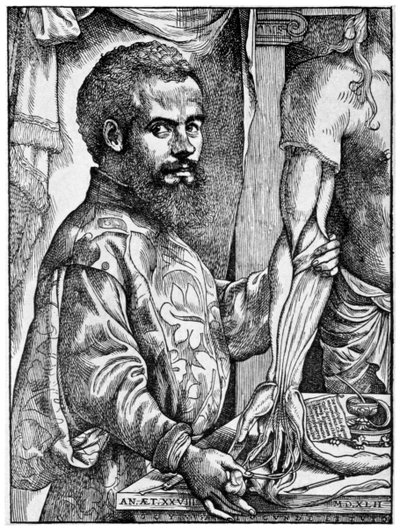 Andreas Vesalius, anatomiste flamand du 16e siècle, 1954 - Unbekannt
