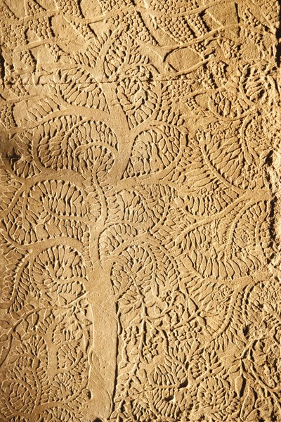 Angkor Wat, Détail sculpté sur le mur. Arbre, Siem Reap, Cambodge - Unbekannt