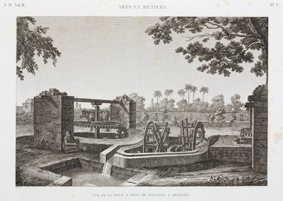 Roue de puissance animale et système d