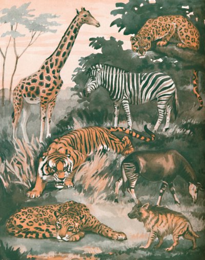 Les animaux aidés par des taches et des rayures, 1935 - Unbekannt