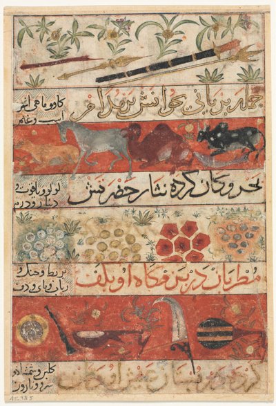 Animaux, pierres précieuses, pièces de monnaie et instruments de musique recto, animaux, oiseaux et plantes verso - Unbekannt
