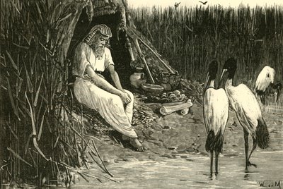 Anysis caché dans les marais du Delta, 1890 - Unbekannt