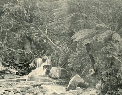 Au puits de Saint-Crépin, 1901 - Unbekannt