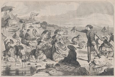 Août à la campagne - Le bord de mer Harper