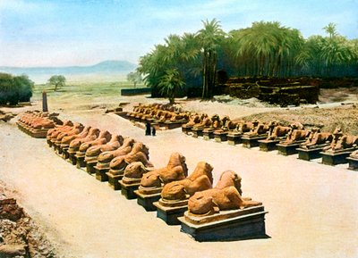 Avenue de sphinx à tête de bélier, temple d
